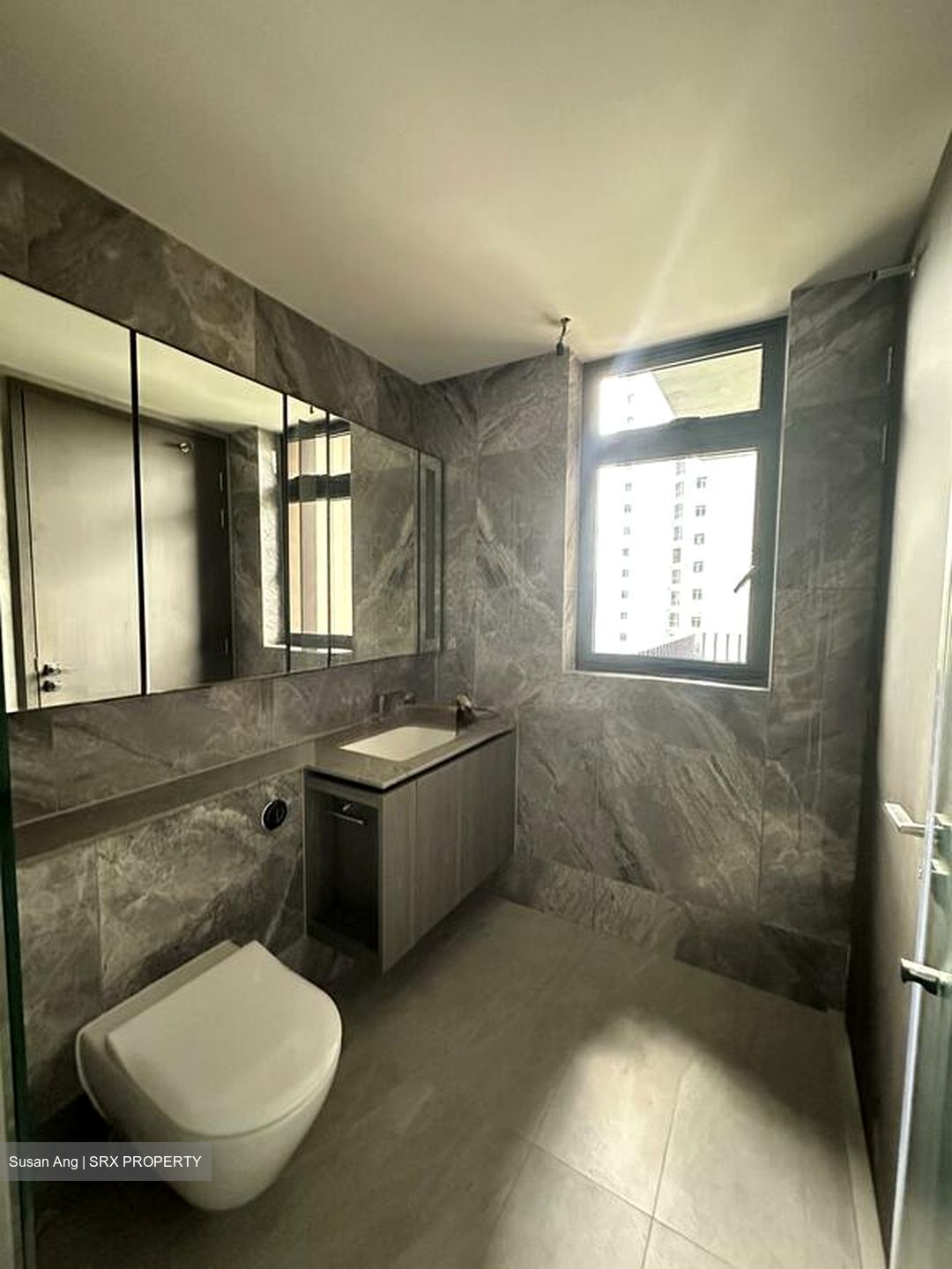 Piccadilly Grand (D8), Apartment #523800241